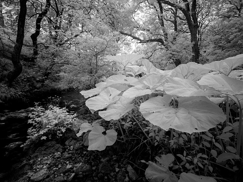19 28-7050454 - Infrared
