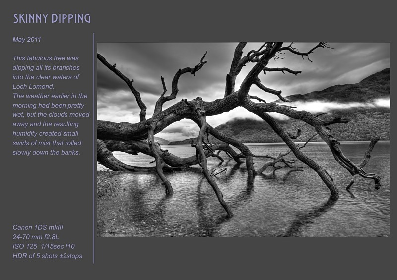 skinny dipping - Land & Sea