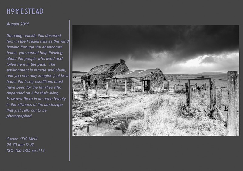 Homestead - Abandoned & Discarded