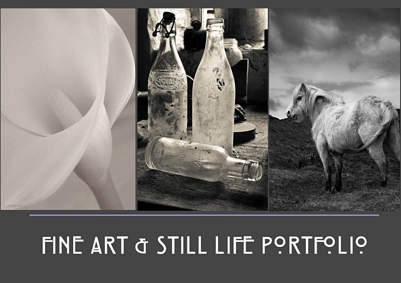 fine art portfolio - Fine Art & Still Life