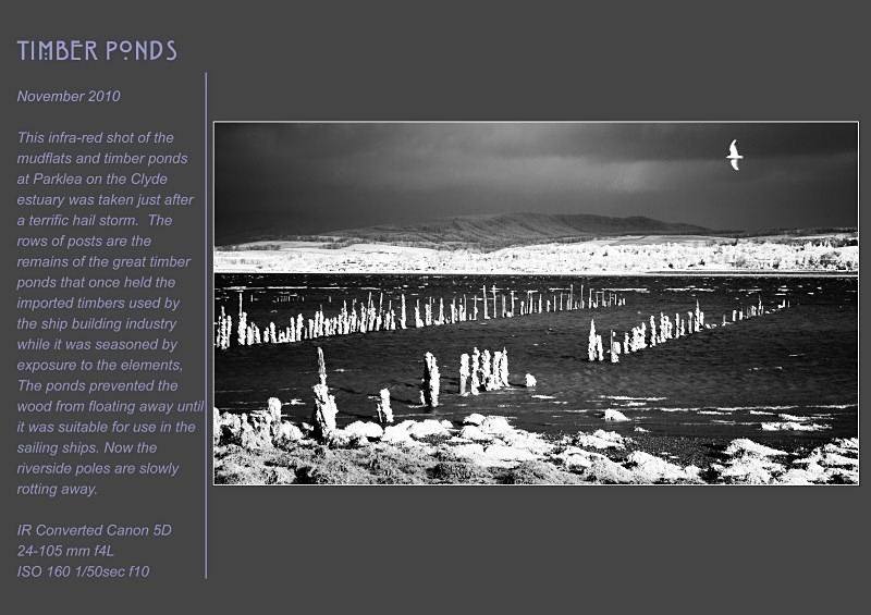 timber ponds - Land & Sea