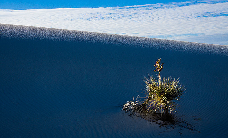  - Deserts
