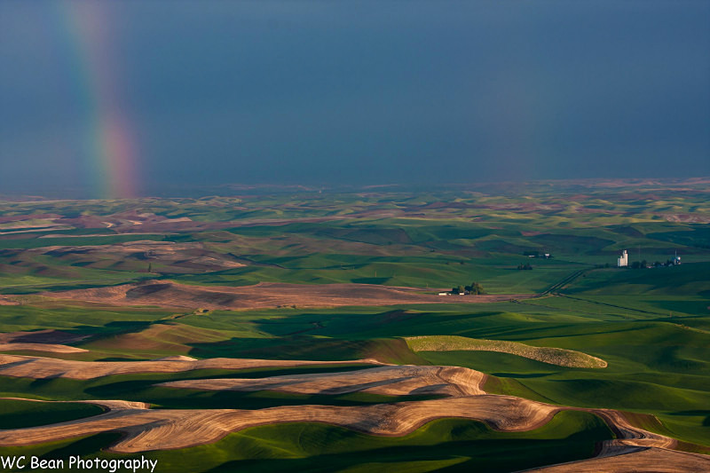 Steptoe Rainbow - Landscapes