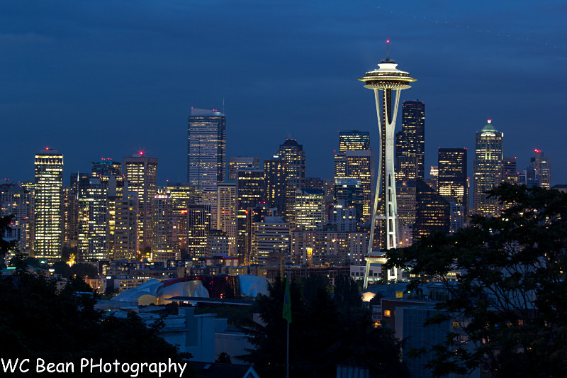 Skyline from Kerry Park - Architecture and Miscellaneous Details