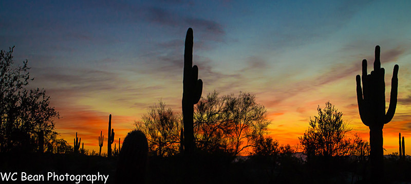 Desert sunrise 1 - Deserts