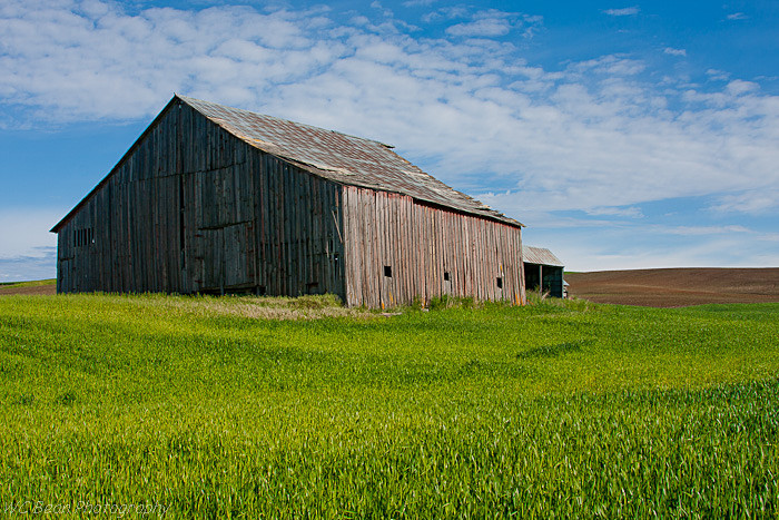 Palouse Barn and Clouds - Prairies and Plains