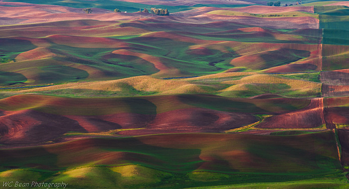 Steptoe 2 - Prairies and Plains