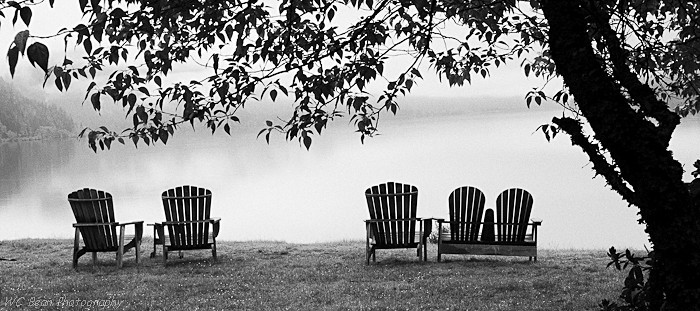 Misty morning - Black & White Images