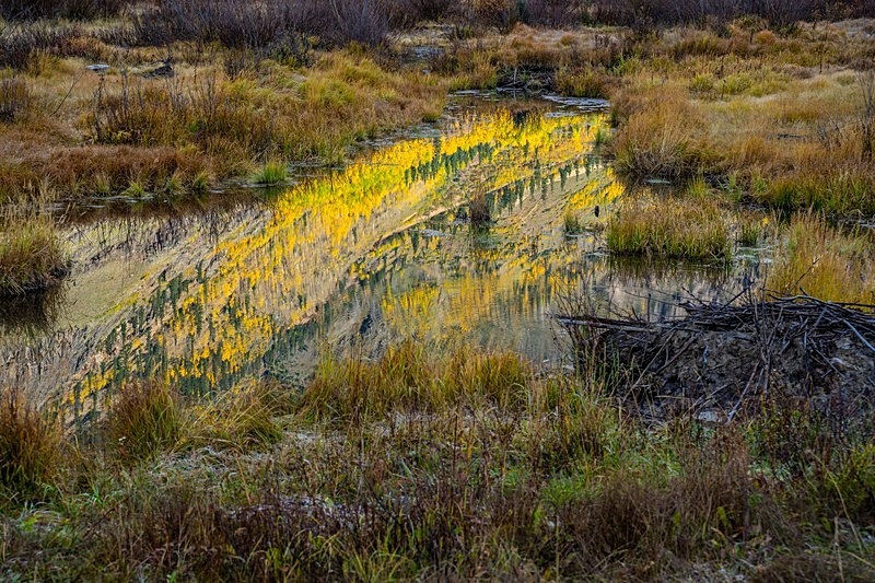 Beaver Pond reflections 1 - 2022 Fall Colors