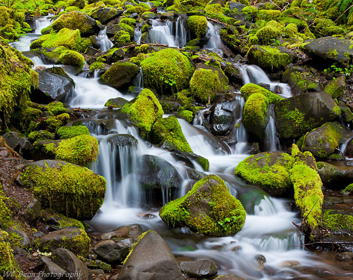Cascade - Water