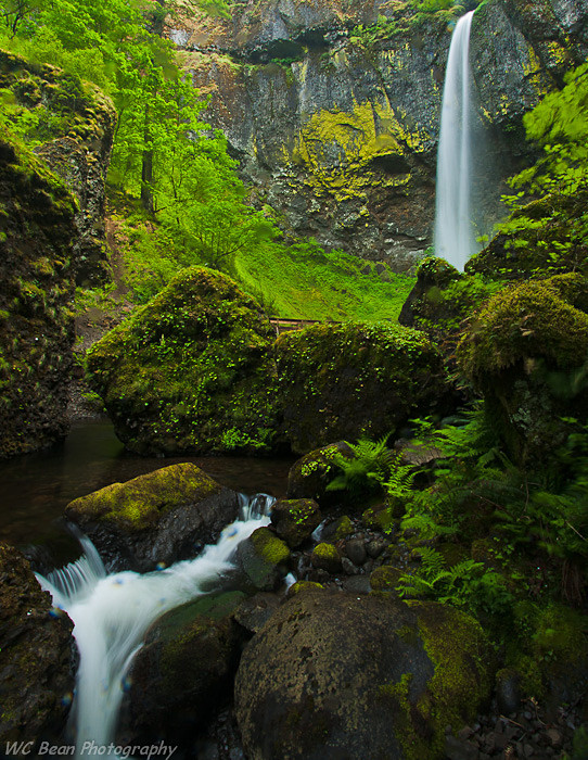 Elowah Falls - Water