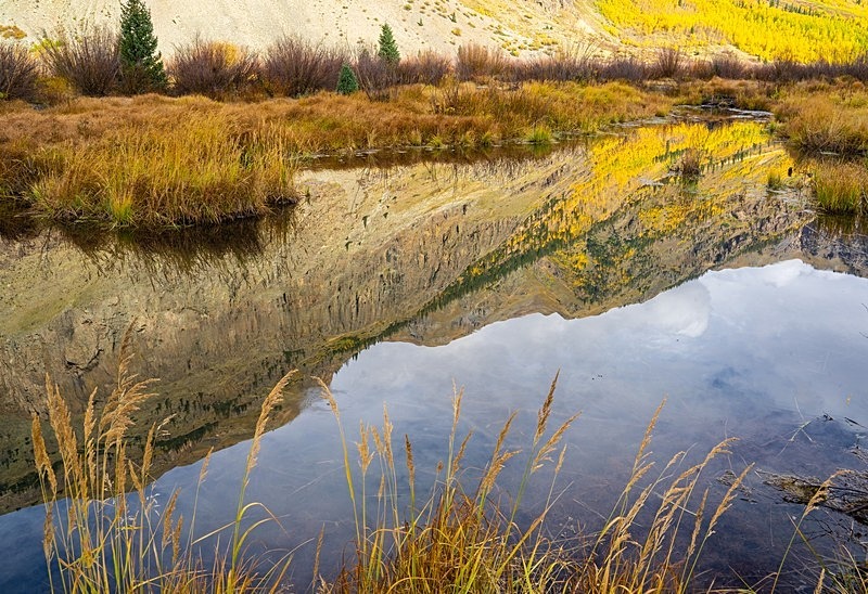 Beaver Pond reflections 2 - 2022 Fall Colors