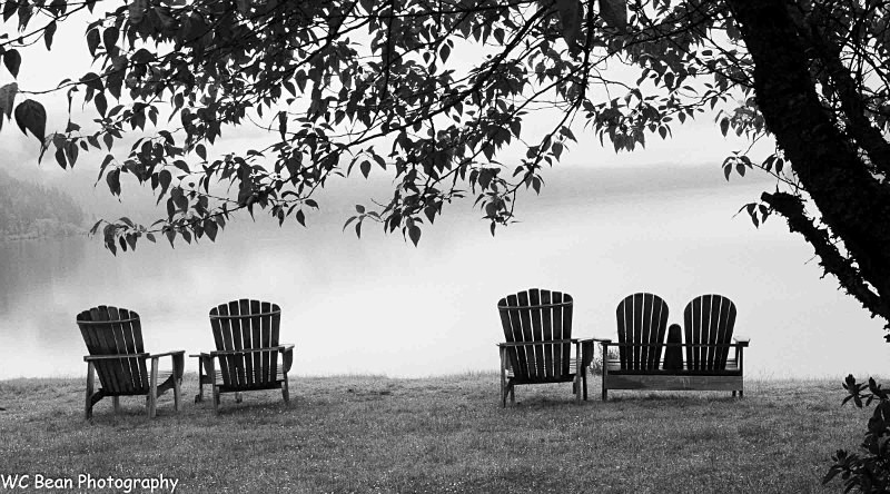 Waiting for Guests - Black & White Images