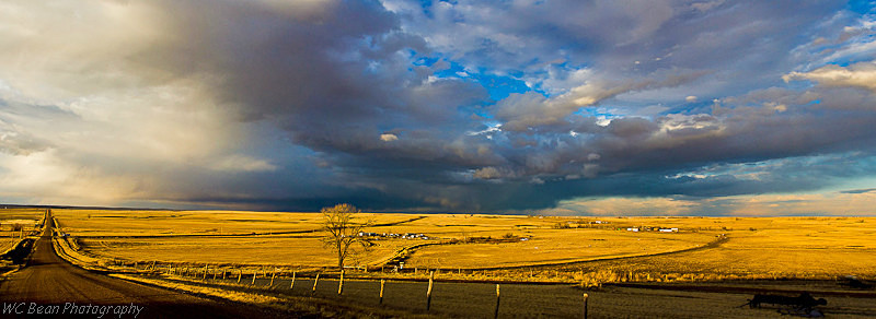 Prairiie Panorama - Prairies and Plains