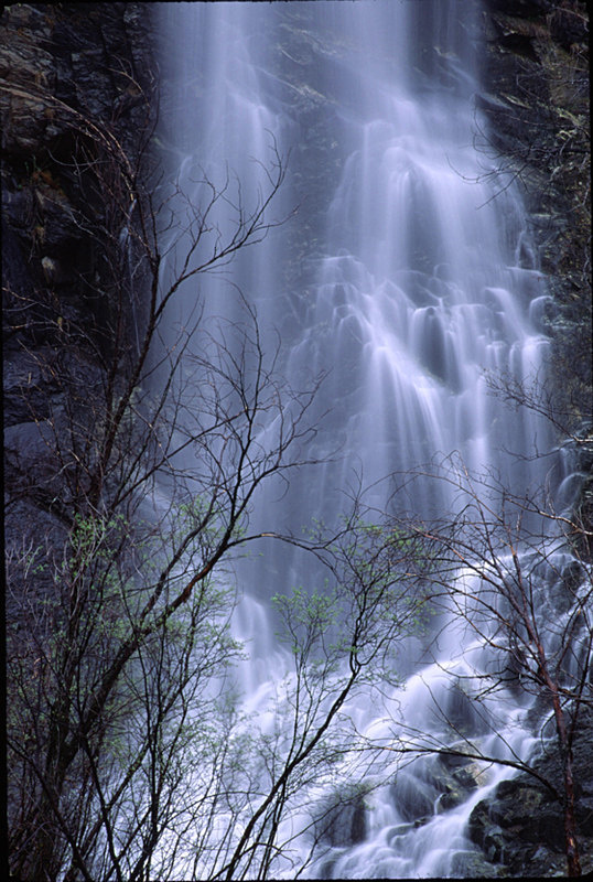 Bridal Veil Falls - Water