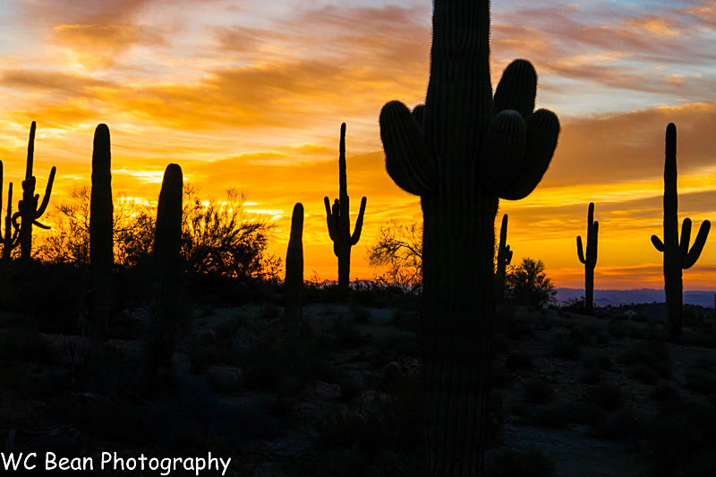 Desert Sunrise 2 - Deserts