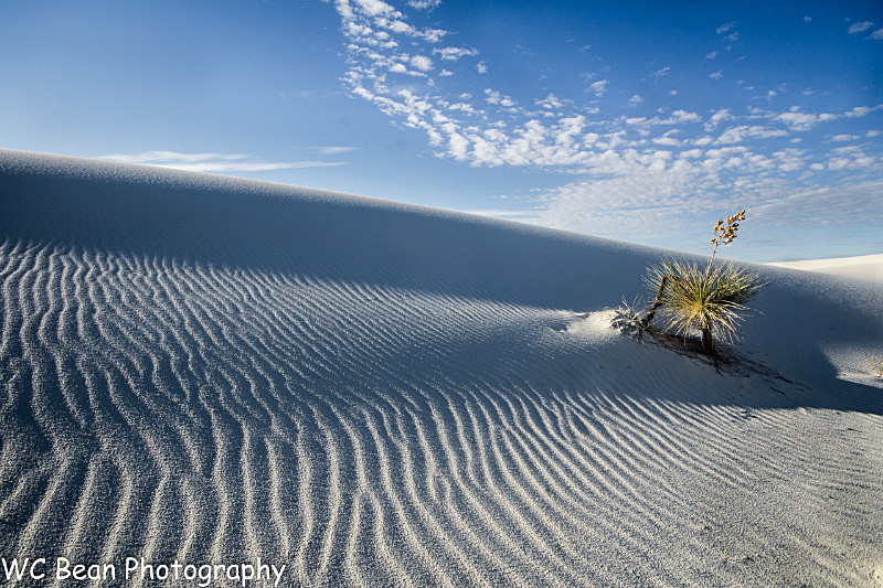 White Sands Sunrise - Deserts