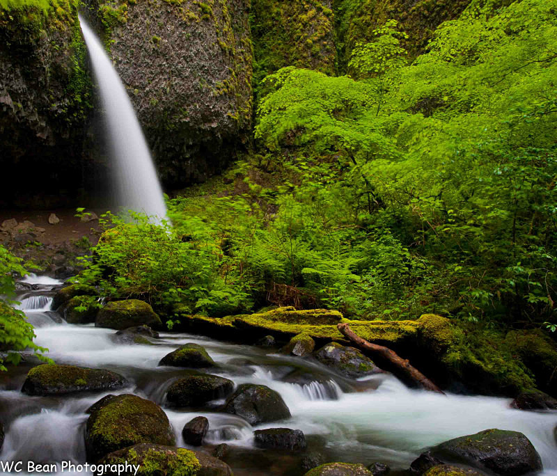 Ponytail Falls - Water