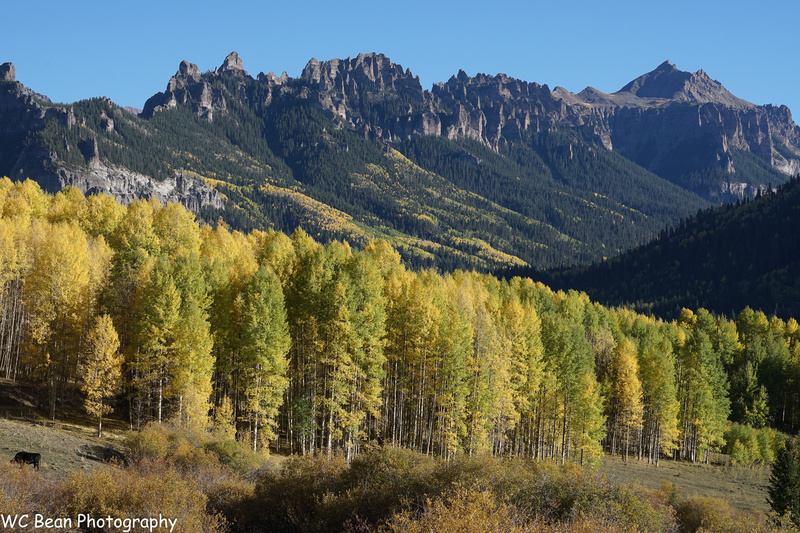Silverjack View - 2022 Fall Colors