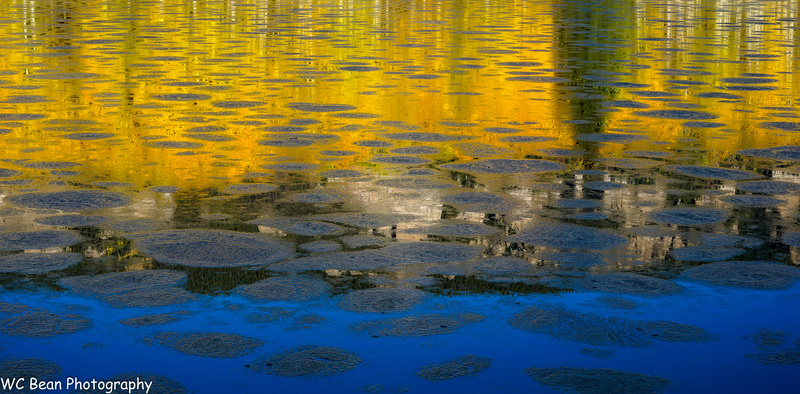 Cimmaron Reflection - 2022 Fall Colors