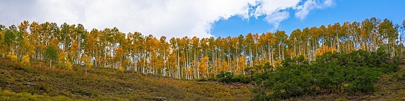 On the Western Skyline - 2022 Fall Colors