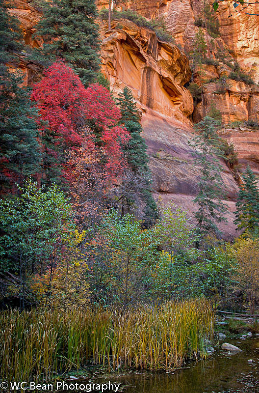 West Fork #2 - Deserts
