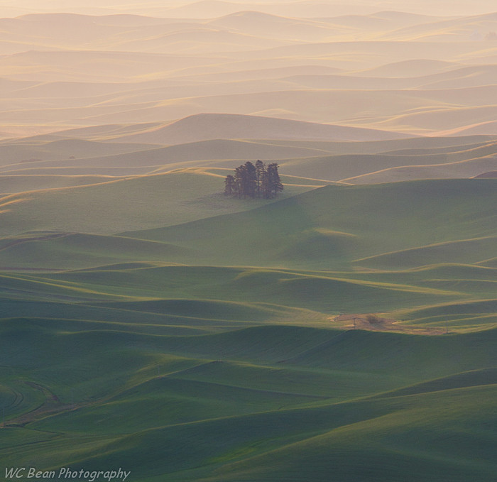 Misty Palouse - Prairies and Plains
