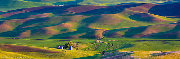 Palouse Pan - Prairies and Plains