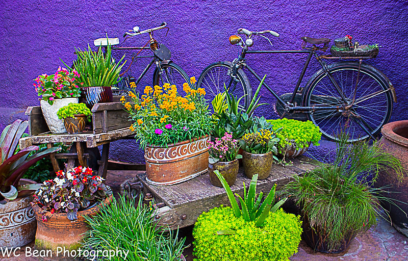 Vibrant scend - Architecture and Miscellaneous Details