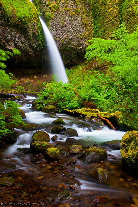 Ponytail falls - Water