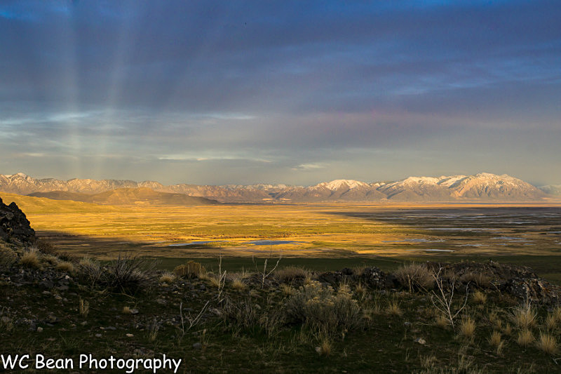 Golden Spike Golden sunset - Mountains
