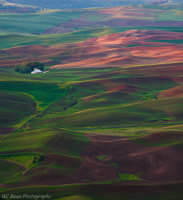 Steptoe Sunrise 1 - Prairies and Plains