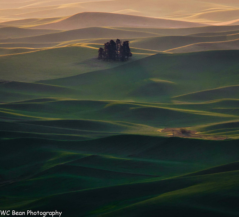 Steptoe Sunise - Landscapes