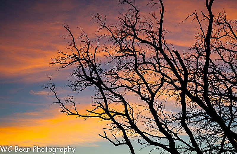Maui Sunset 3 - Sunrise, Sunset