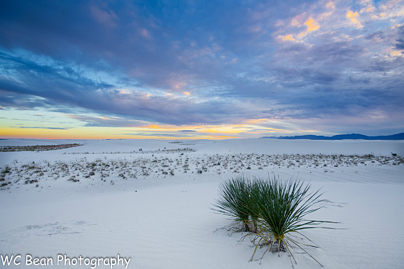 White Sands Sunset - Deserts