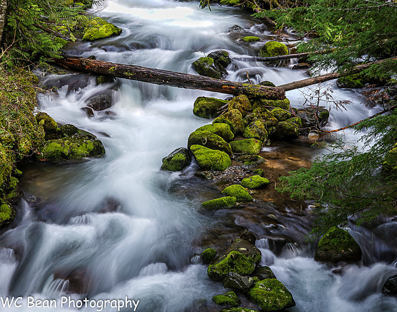 Rushing Stream - Water