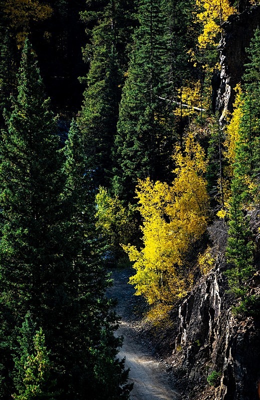 Down the Road - 2022 Fall Colors