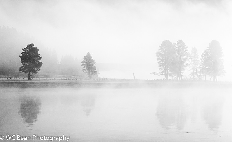 Alum Creek fog - Black & White Images