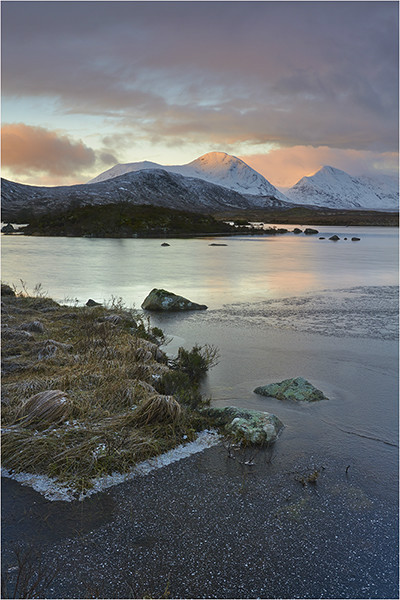 Rannnoch Pinks - Mainland Scotland