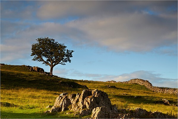 Yorkshire Rocks! - Yorkshire