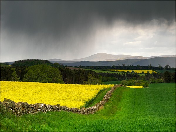 Distant Rain - Northumberland Area