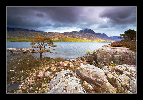 Loch Maree Tree - Mainland Scotland