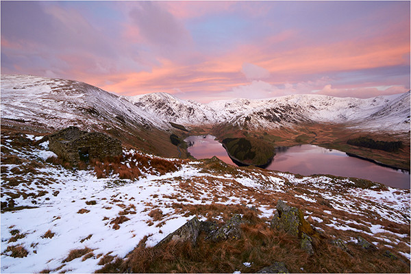 Haweswater Pinks - Cumbria