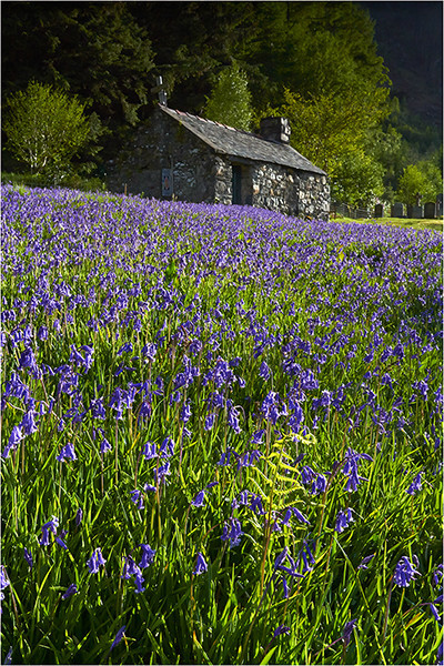 Ballachulish Blues - Mainland Scotland