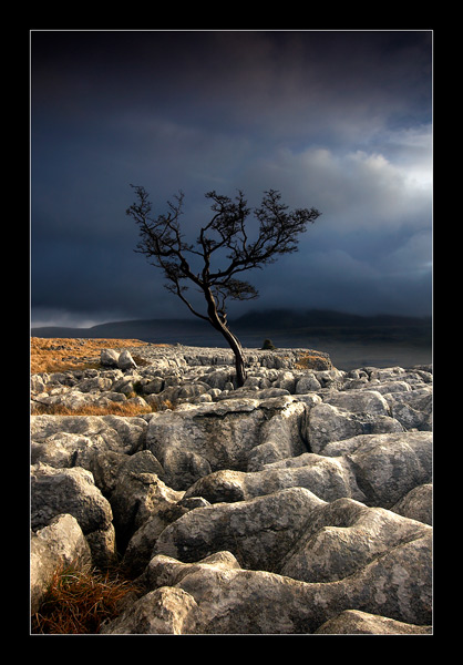Dark and Light - Yorkshire