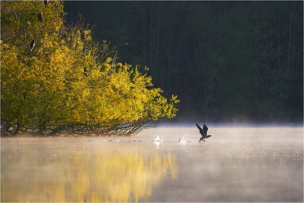 Misty Take Off - North West England