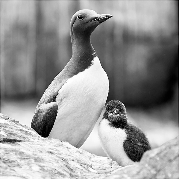 Me and my Mum - Wildlife and Nature