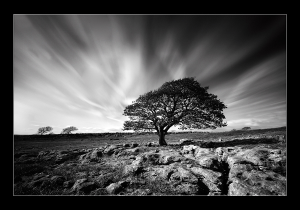 Standing Alone - North West England