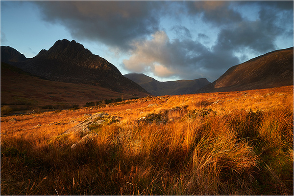 Morning Light - Wales
