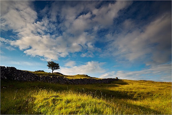 Dales Light - Yorkshire